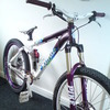 Pinkbike profile picture for @wrinkle