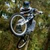 Scholle avatar