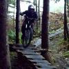 pbsyren avatar