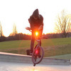 x-up16toddy avatar