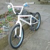 bmxdirtjumper avatar