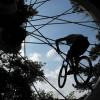 wormarse avatar