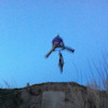 norcosix2rider avatar