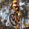CesarSilva avatar