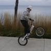 lakeviewrider avatar