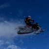 coltybear15 avatar