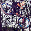 viniciusgushiken avatar