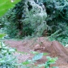 Pinkbike profile picture for @Rental