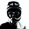thewhale avatar