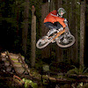 KravenAride avatar