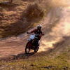 rprouse28 avatar