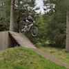 mjmiddler avatar