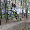 MichaelHayes avatar