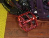Pinkbike profile picture for @gutless