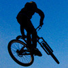 marcitarnai avatar