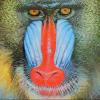 betweener avatar