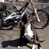 mtbporru avatar
