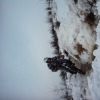 adziudownhiller avatar
