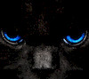 Aurelien68 avatar