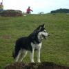 diegolds avatar