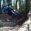 BikerBrown avatar