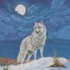 Pinkbike profile picture for @whitewolf