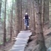 lloydyoswestry avatar