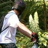 bman232 avatar
