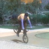 robix12 avatar