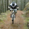 fortwilly avatar