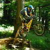 pitbandit avatar