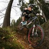 Hooobitze avatar