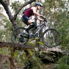 Pinkbike profile picture for @marisa