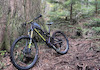 cypressrockymountain avatar
