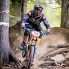 dmarsh15 avatar
