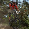 InsideLine avatar