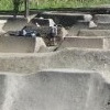 jackmtbmx100 avatar