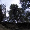 devorider1 avatar