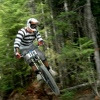 hoffy166 avatar