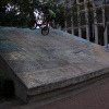 efavbmx avatar