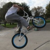 saammm avatar