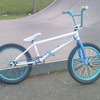 ronank7999 avatar