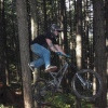 vwfish avatar