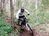 specailizedodiej avatar
