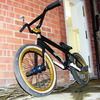 dirtjumpingp1 avatar