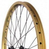 mtb-NEIL-dmr avatar