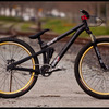 DBailey avatar