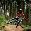 terka-rider avatar