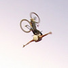 willmcgarvey avatar