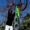 FERNANDOXXX avatar